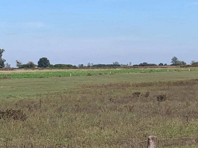 10 HA