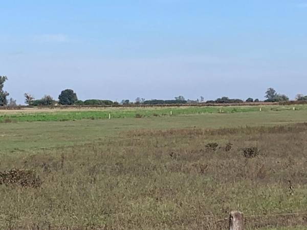 10 HA