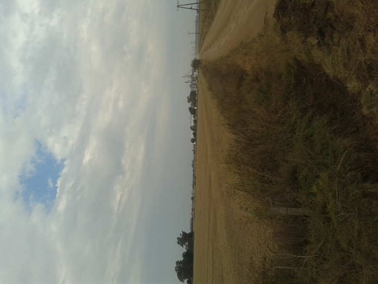40 HA