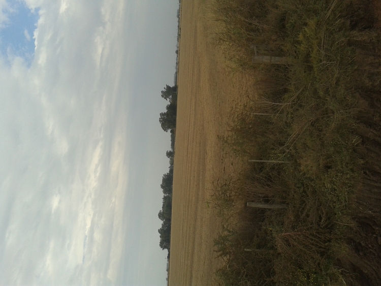 40 HA