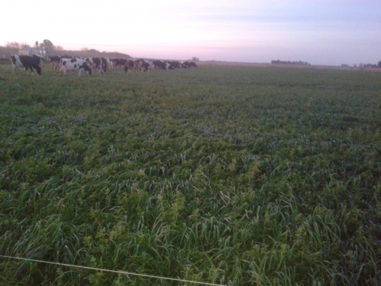 180 HA