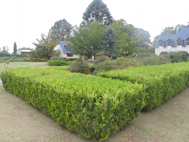 660 HA BRAGADO