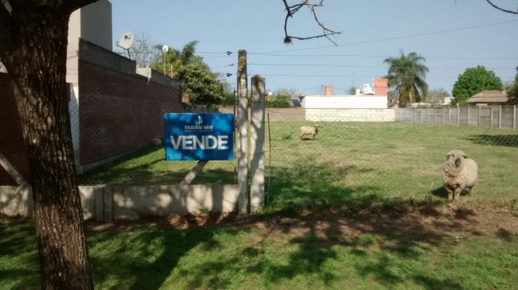 Bv Belgrano al 600
