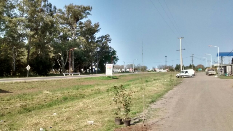 Moriena frente ruta 91