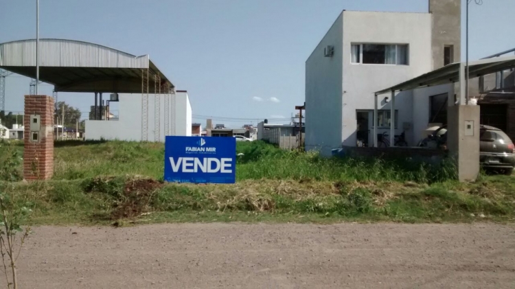 Moriena frente ruta 91